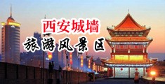 少妇被插的直叫爽视频中国陕西-西安城墙旅游风景区